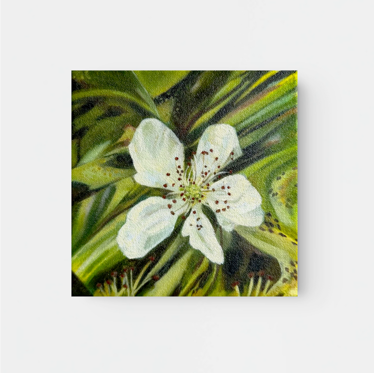 Bramble Blossom, 2026