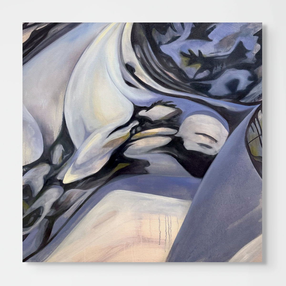 Paused, 2026