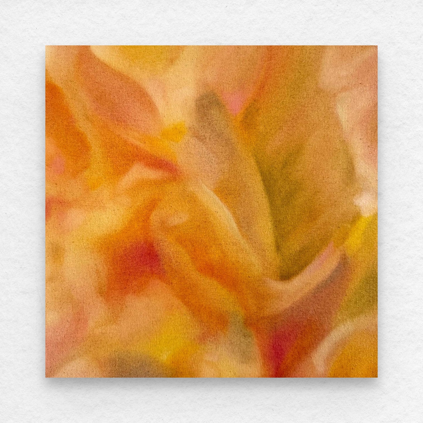 Haze Study 1, 2025