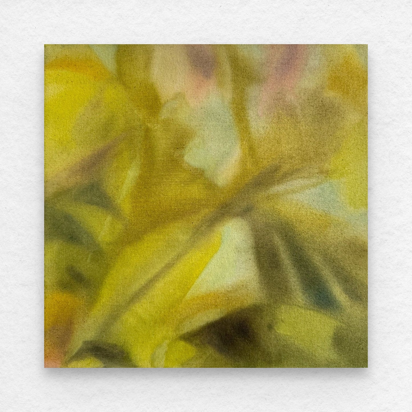 Haze Study 2, 2025