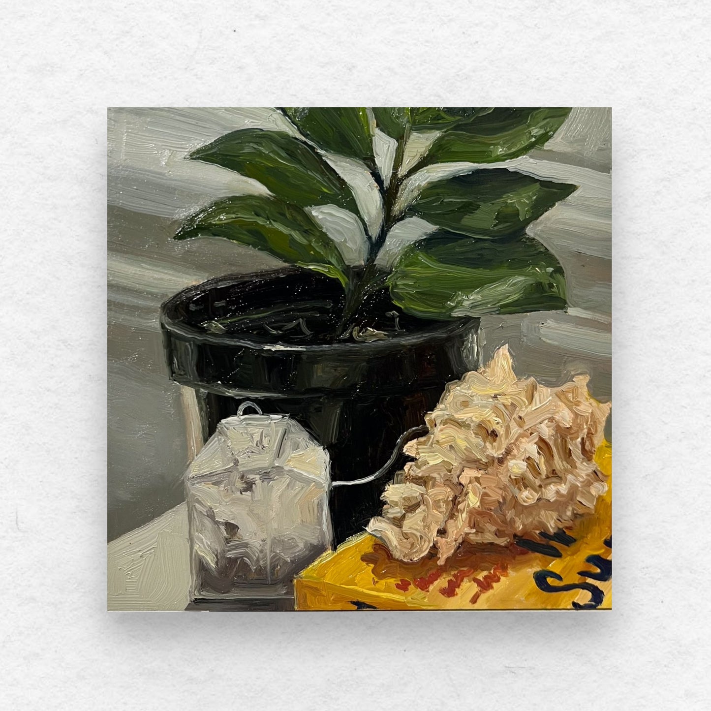 Shell and Plant Composition