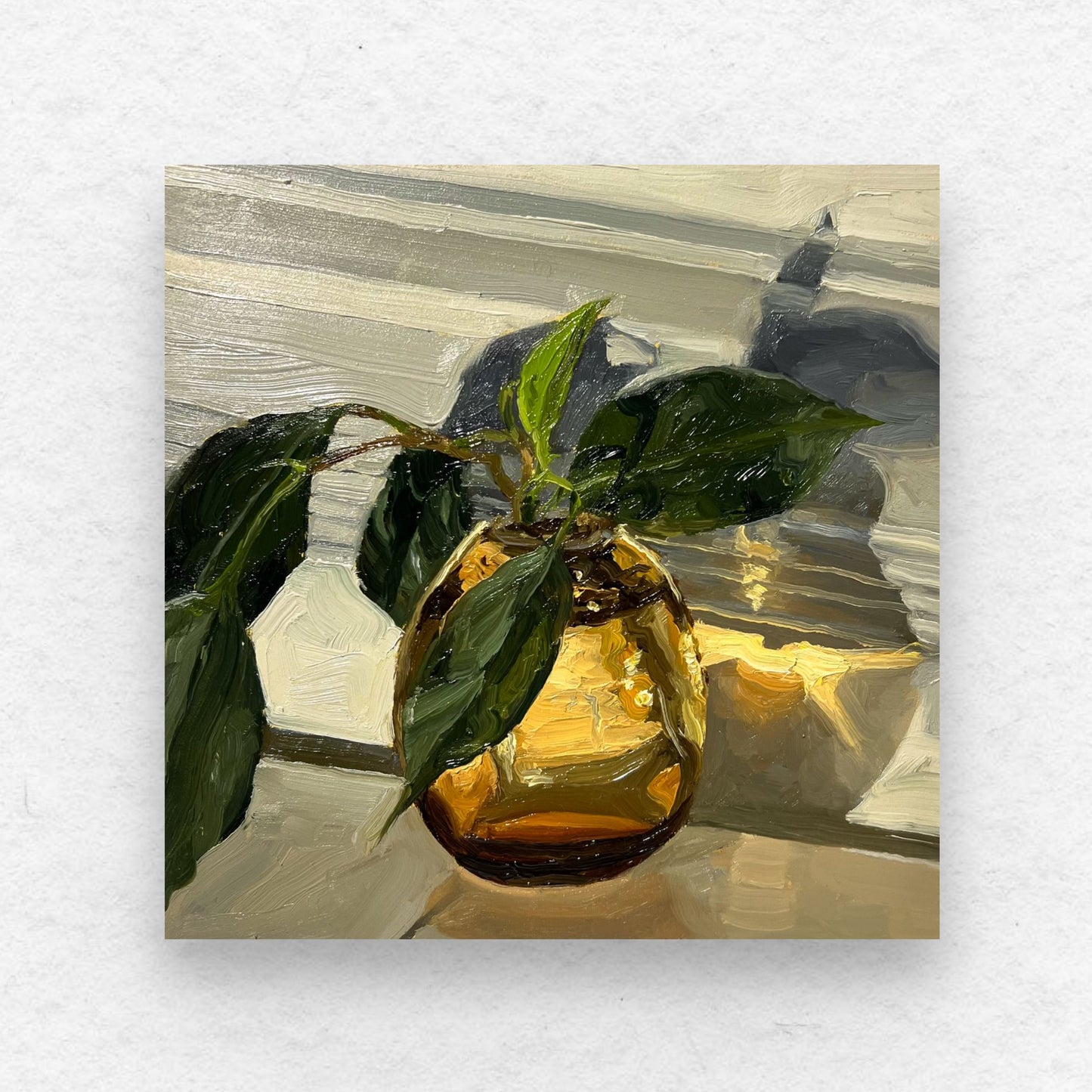 Light Refracted Plant