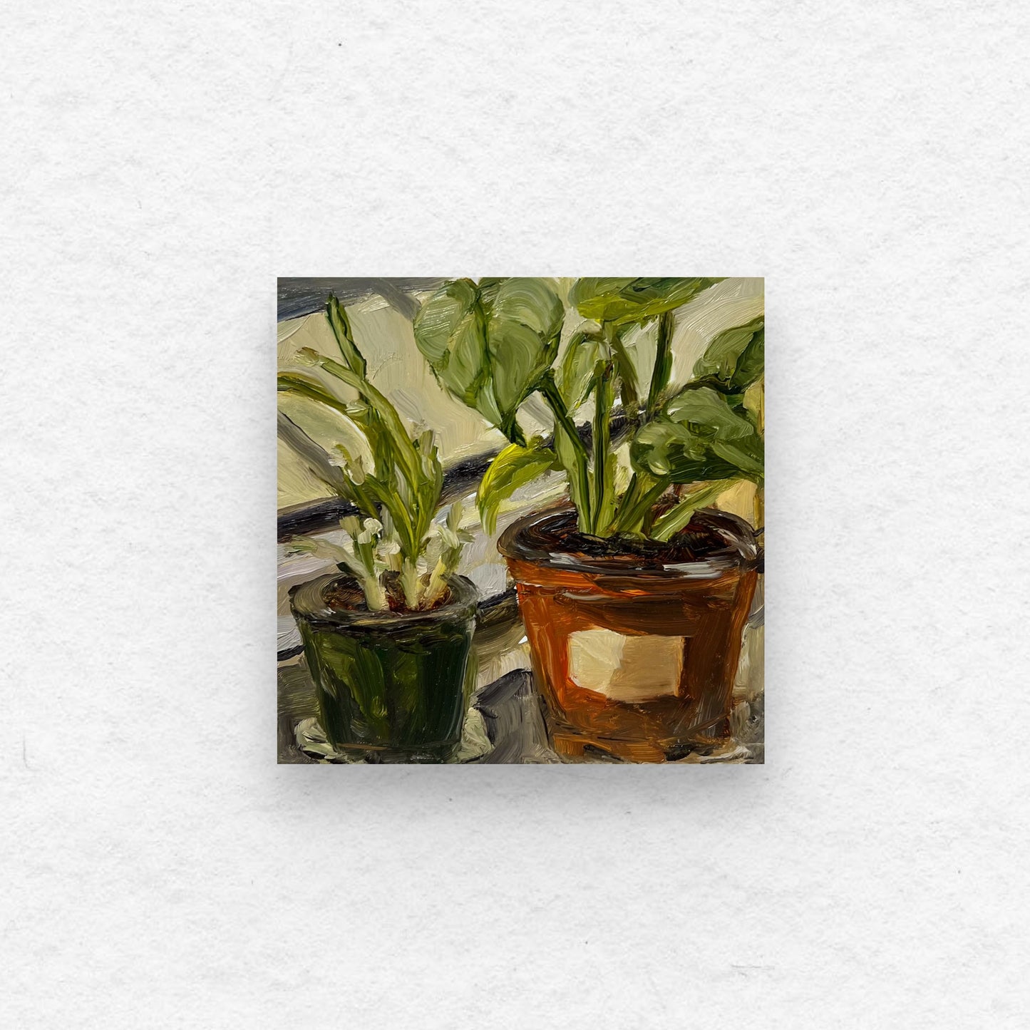 Potted Plants